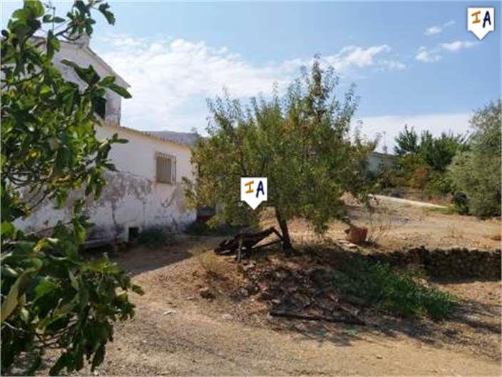 Image No.5-Ferme de 5 chambres à vendre à Loja