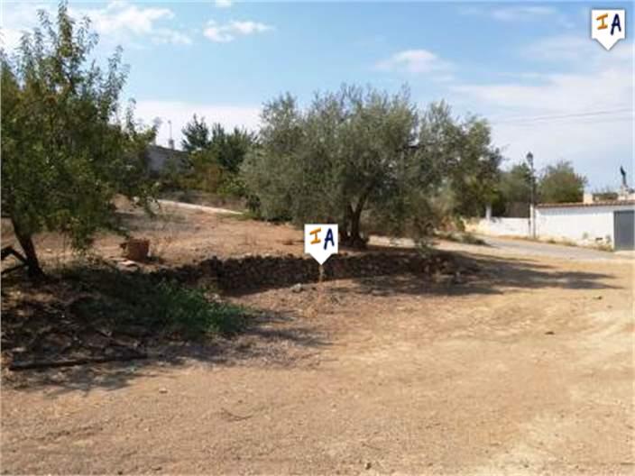 Image No.7-Ferme de 5 chambres à vendre à Loja