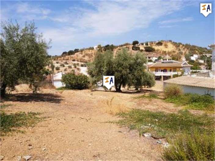 Image No.8-Ferme de 5 chambres à vendre à Loja