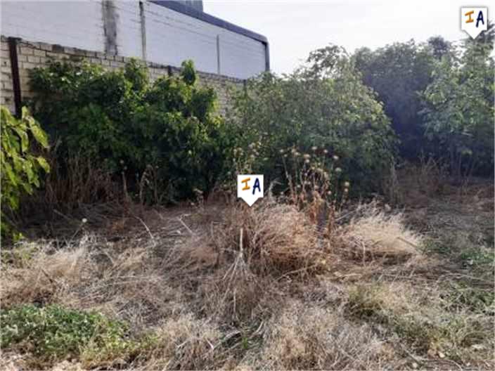 Image No.10-5 Bed Commercial for sale