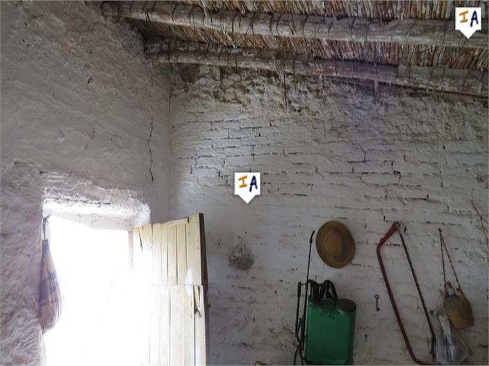 Image No.11-Terre à vendre à Alcaudete