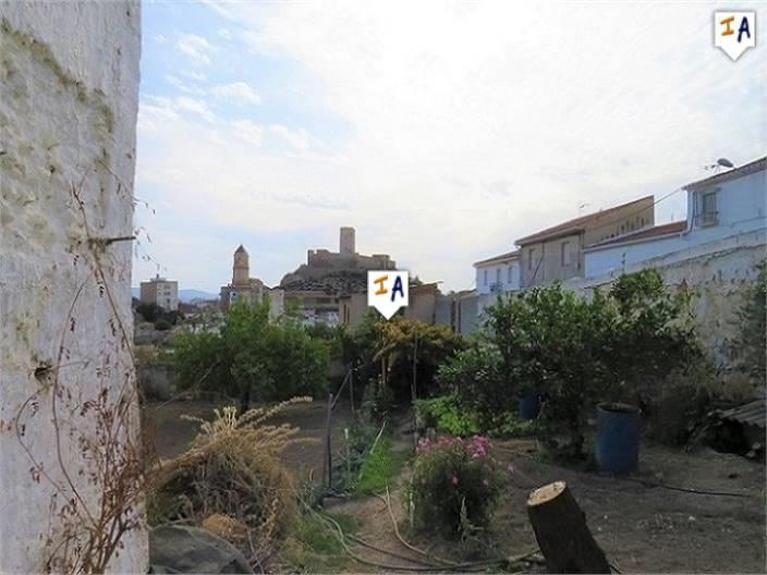 Image No.9-Terre à vendre à Alcaudete