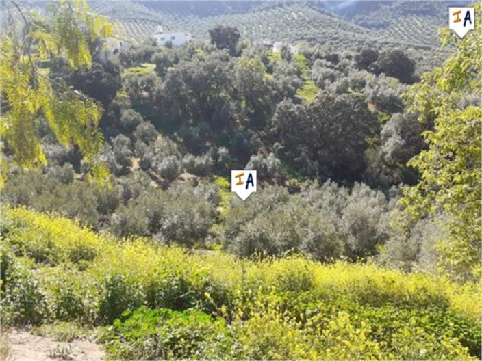 Image No.6-6 Bed Farmhouse for sale