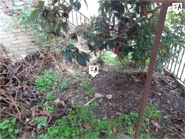 Image No.5-Maison de 4 chambres à vendre à Iznájar