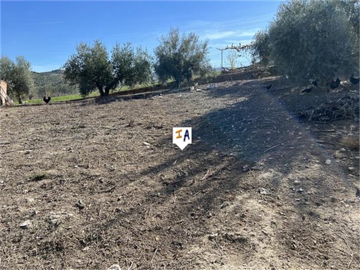 Image No.16-4 Bed House for sale