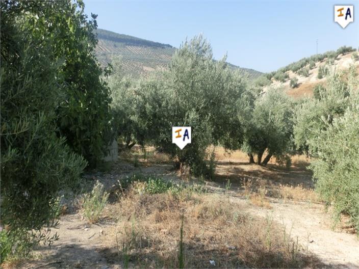 Image No.7-4 Bed Farmhouse for sale