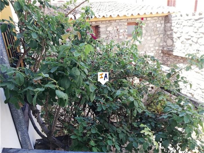 Image No.12-13 Bed Commercial for sale