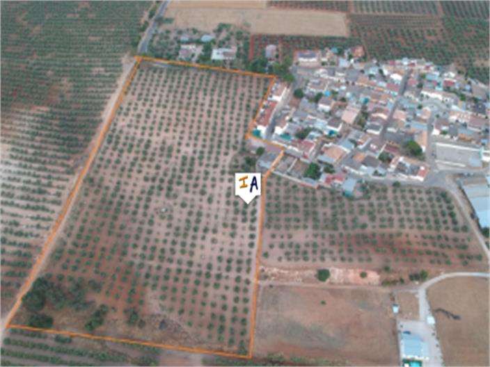 Image No.3-5 Bed Farmhouse for sale