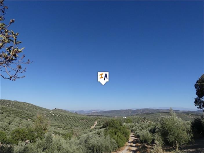 Image No.4-Ferme de 4 chambres à vendre à Alcalá la Real