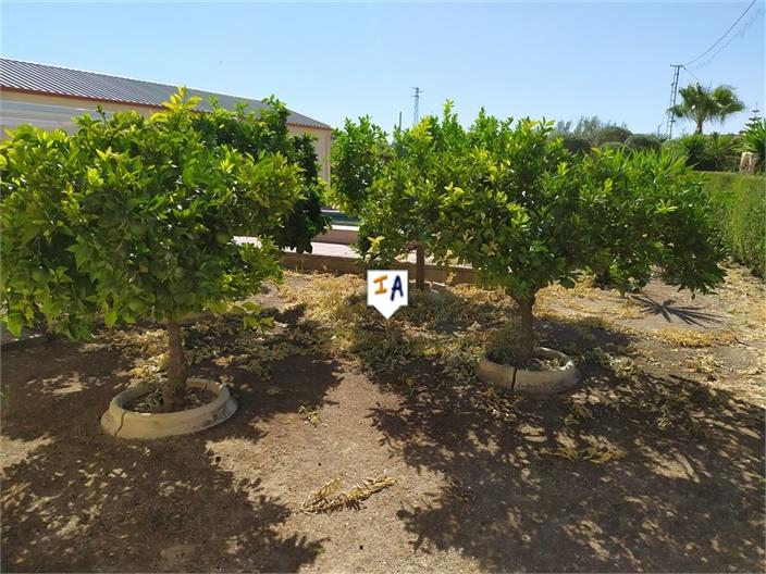 Image No.11-3 Bed House for sale