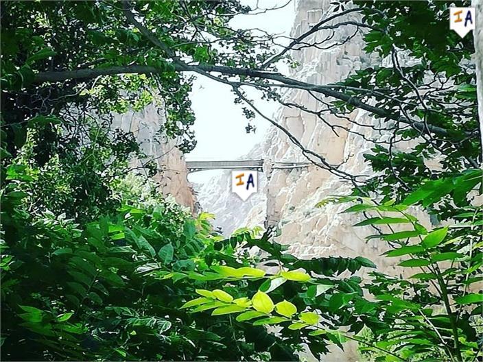 Image No.12-Maison de 5 chambres à vendre à Ardales