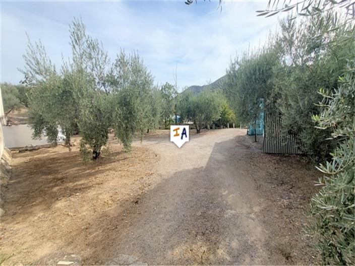 Image No.3-Maison de 5 chambres à vendre à Almedinilla