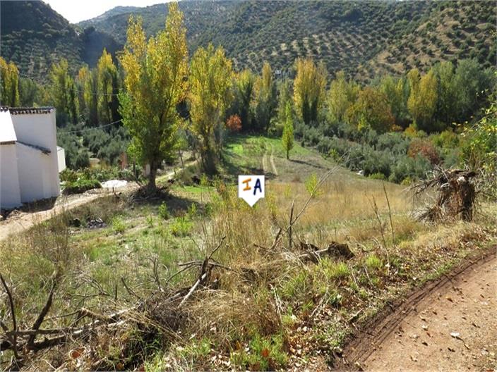 Image No.4-Ferme de 5 chambres à vendre à Martos