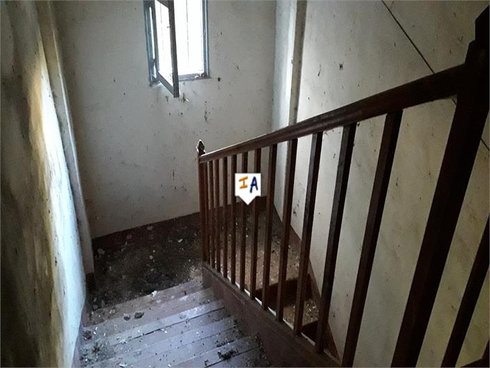 Image No.6-Ferme de 5 chambres à vendre à Martos