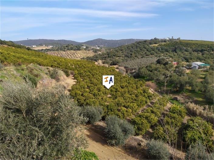 Image No.14-Maison de 2 chambres à vendre à Lora del Río