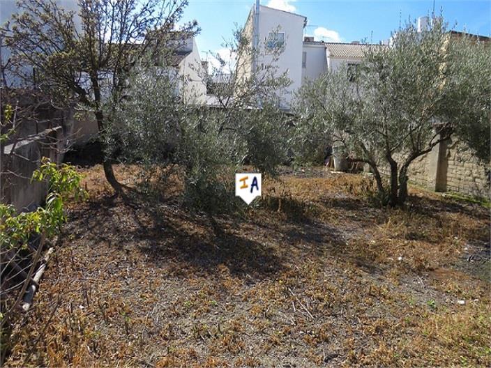 Image No.4-5 Bed House for sale