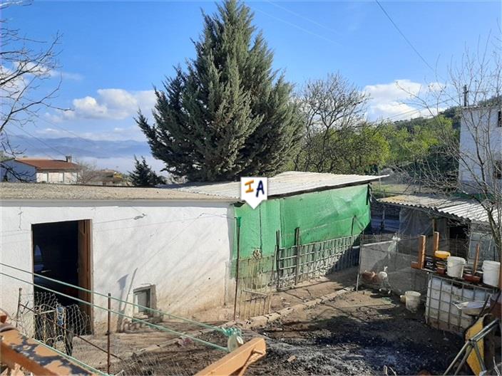 Image No.5-Maison de 4 chambres à vendre à Ermita Nueva