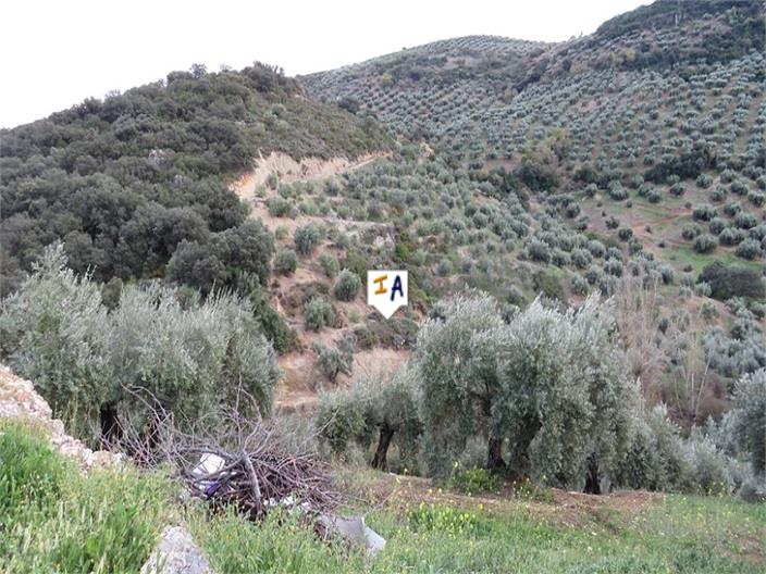 Image No.3-Ferme de 4 chambres à vendre à Fuensanta de Martos
