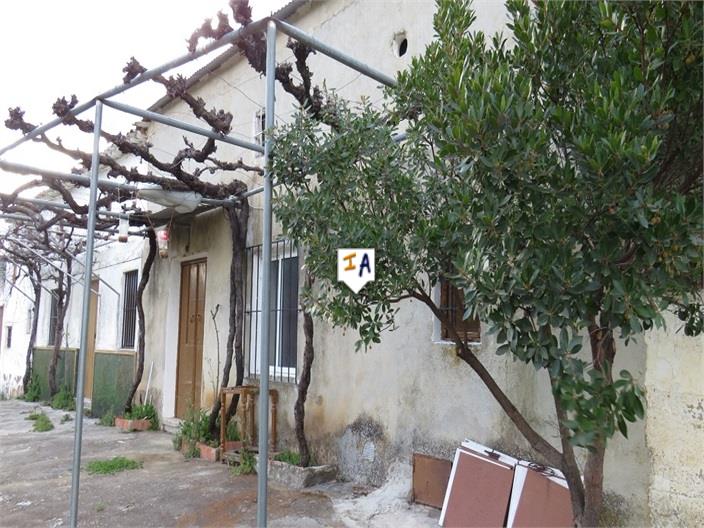 Image No.4-Ferme de 4 chambres à vendre à Fuensanta de Martos