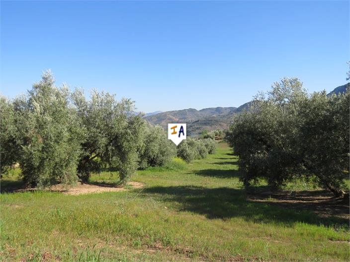 Image No.10-Land for sale