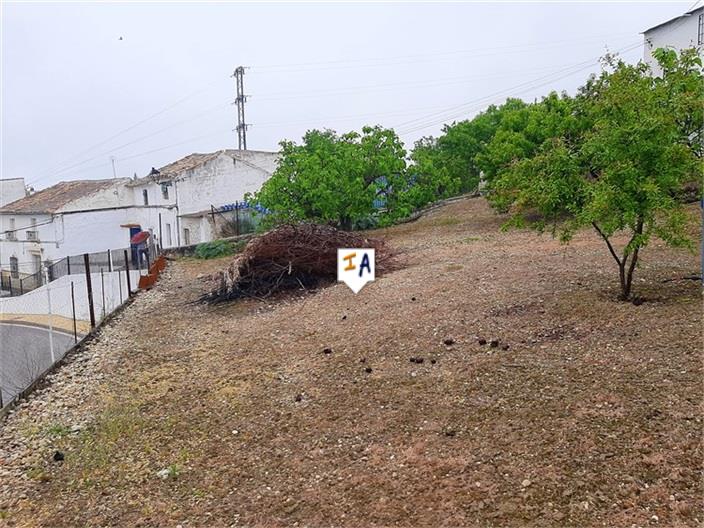 Image No.4-3 Bed House for sale