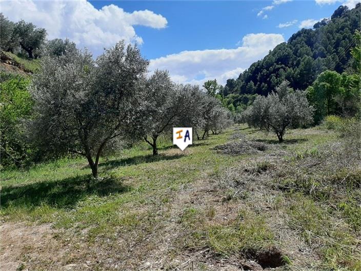 Image No.4-Terre à vendre à Montefrío