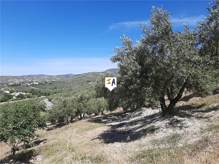 Image No.5-Farmhouse for sale