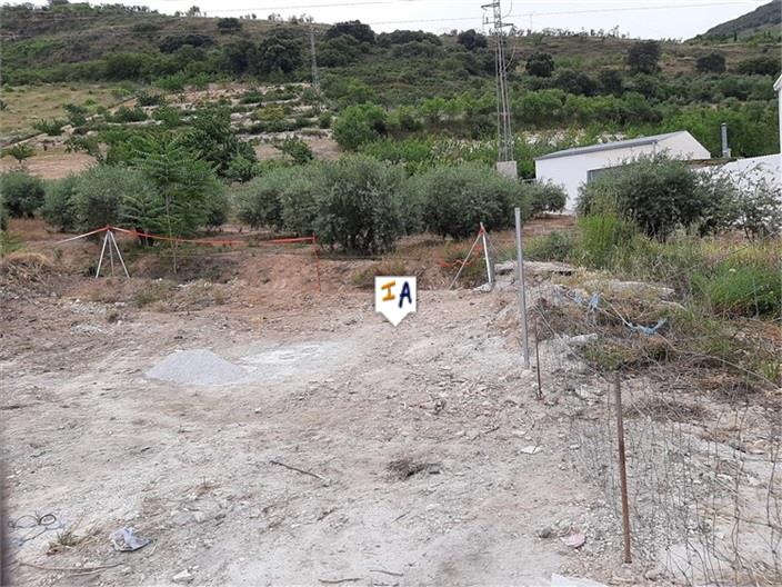 Image No.12-Terre à vendre à Castillo de Locubín