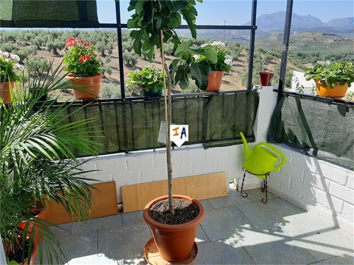 Image No.8-Maison de 4 chambres à vendre à Priego de Córdoba