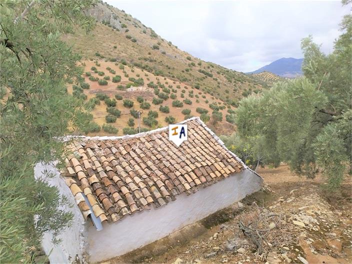 Image No.9-Ferme de 1 chambre à vendre à Iznájar