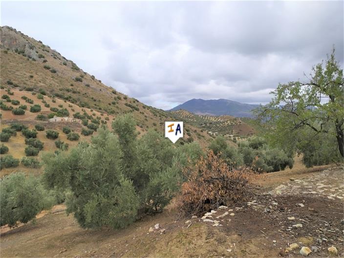 Image No.10-Ferme de 1 chambre à vendre à Iznájar