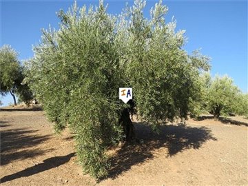 pl2732