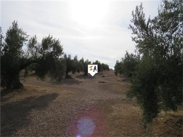 pl2733