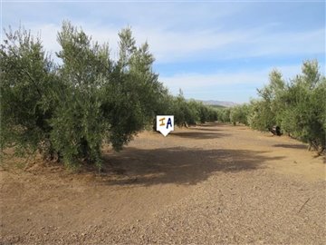 pl2734
