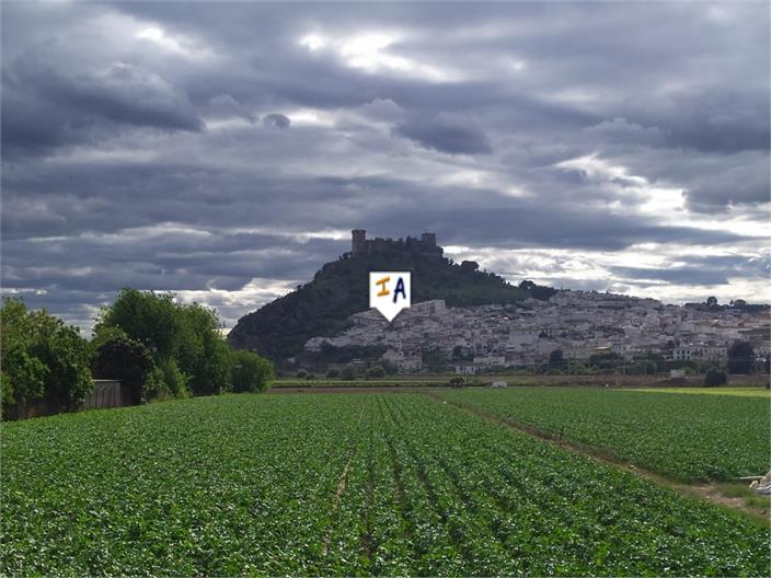 Image No.12-Maison de 2 chambres à vendre à Almodóvar del Río