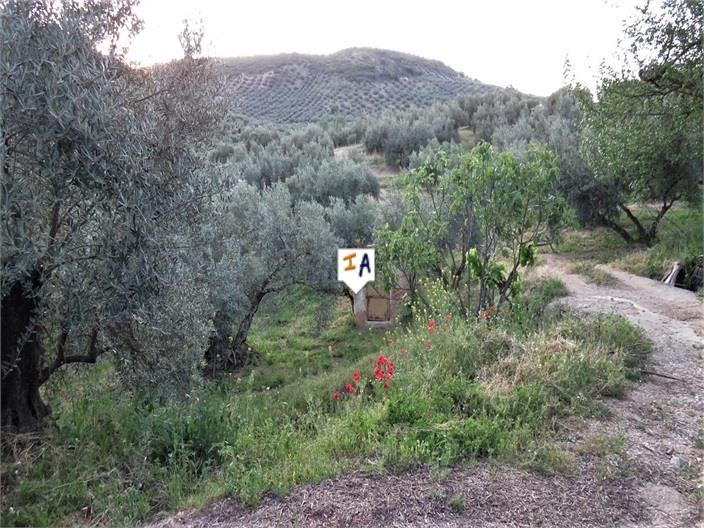 Image No.3-Ferme de 3 chambres à vendre à Fuensanta de Martos