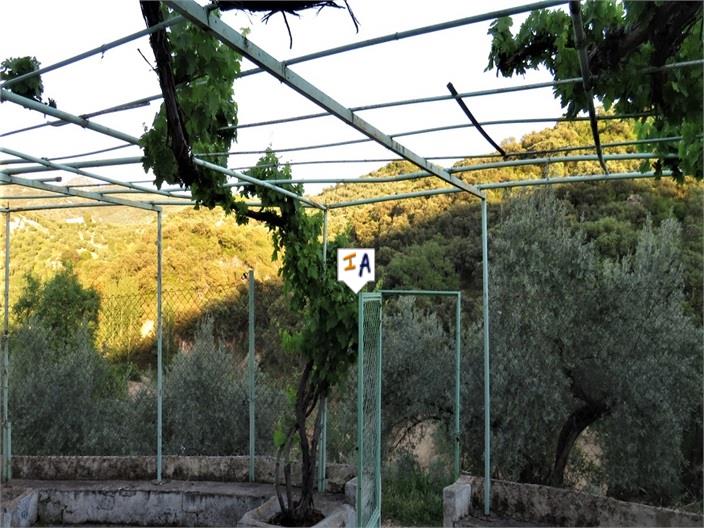 Image No.4-Ferme de 3 chambres à vendre à Fuensanta de Martos