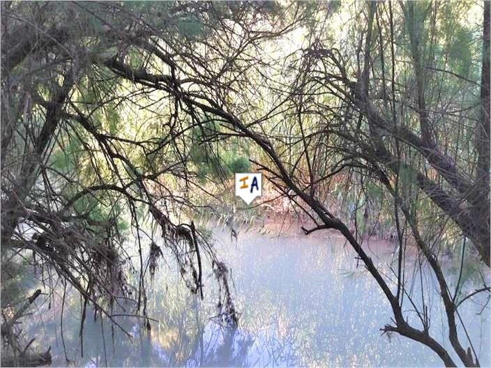 Image No.14-5 Bed House for sale