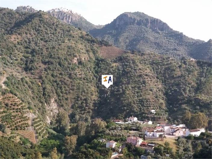 Image No.9-Land for sale