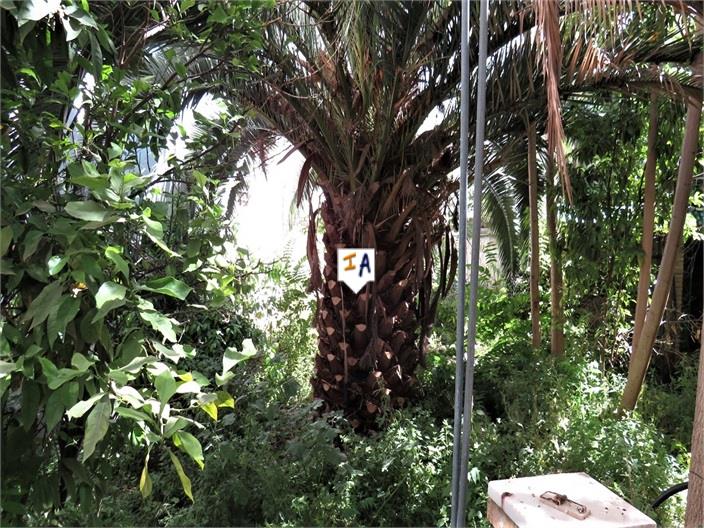 Image No.3-6 Bed House for sale