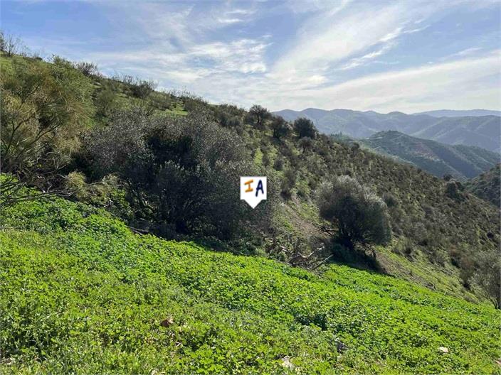 Image No.15-6 Bed Finca for sale