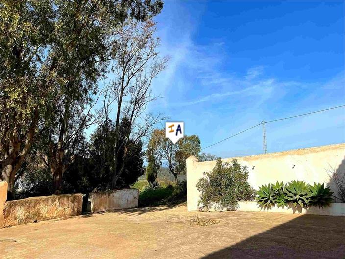 Image No.8-6 Bed Finca for sale