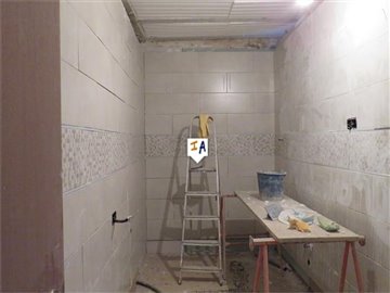 th531812