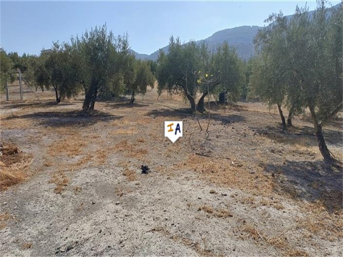 Image No.5-5 Bed Farmhouse for sale