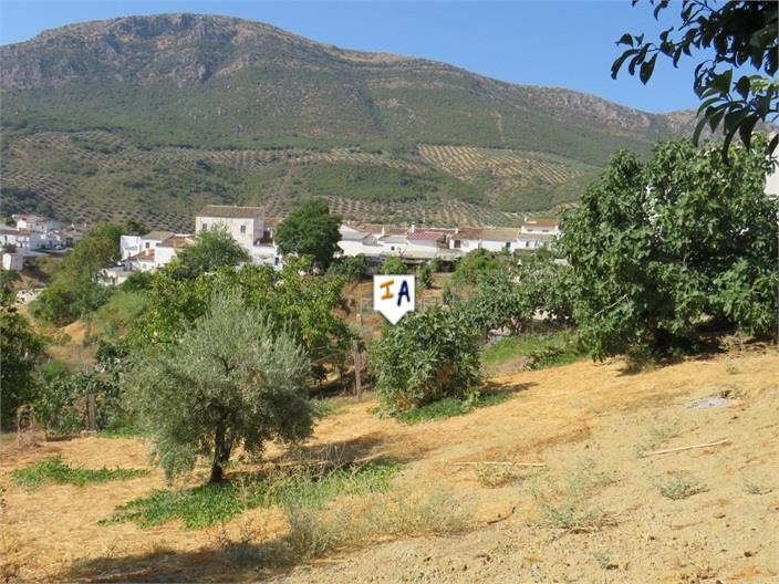 Image No.5-3 Bed House for sale