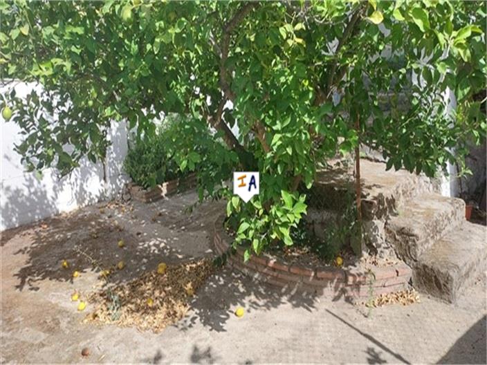 Image No.3-4 Bed House for sale