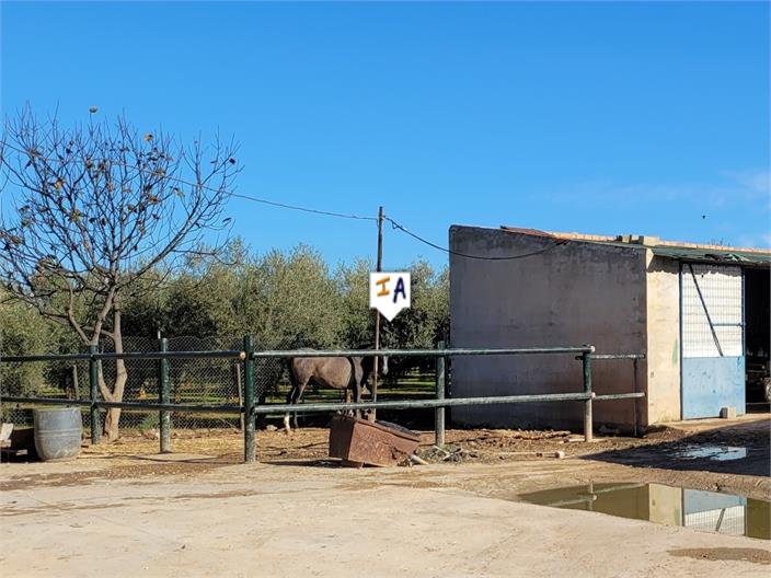 Image No.17-3 Bed Finca for sale