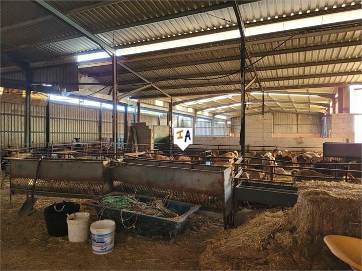 Image No.8-3 Bed Finca for sale