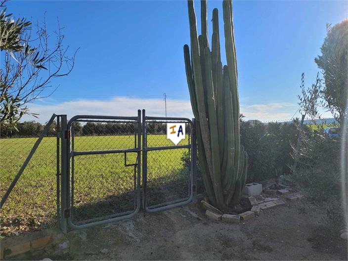 Image No.16-Ferme de 2 chambres à vendre à La Lantejuela