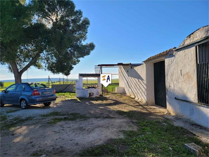Image No.7-Ferme de 2 chambres à vendre à La Lantejuela
